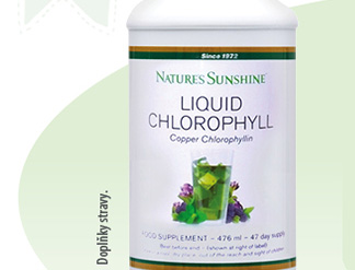 Natures Sunhine Chlorofyl 476 ml